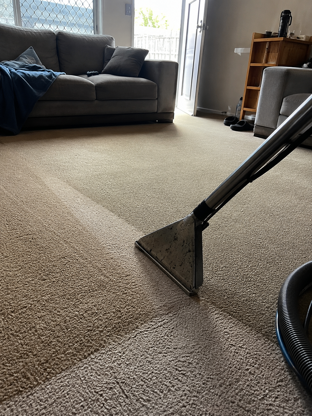 Carpet Cleaning