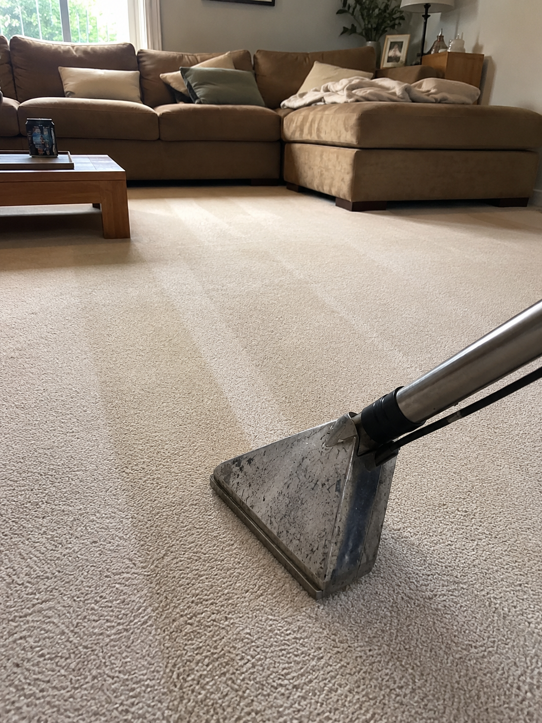 Steam extraction wand lifting dirt from a lounge room carpet